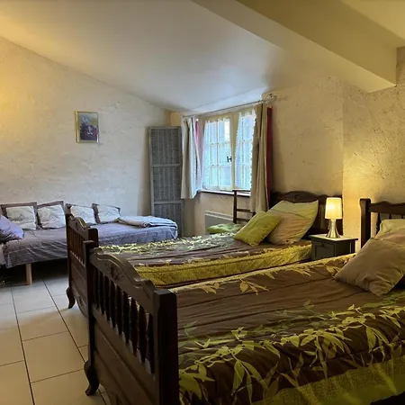 Ecologique Confortable Avec Jardin Et Animaux Acceptes - Fr-1-489-181 *