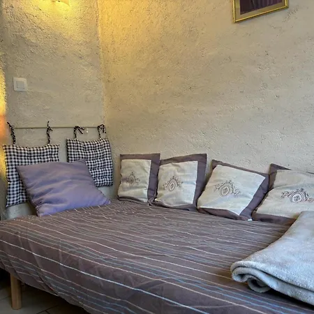 Ecologique Confortable Avec Jardin Et Animaux Acceptes - Fr-1-489-181